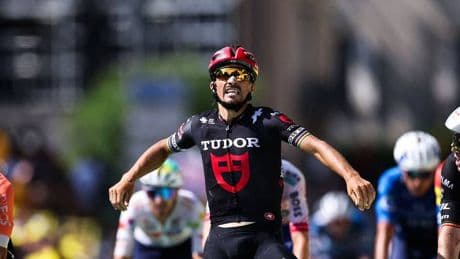 Tour de France 2025: Alaphilippe jubelt über vermeintlichen Sieg – Lipowitz verteidigt Weiß