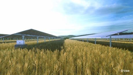Soltec acuerda plan de reestructuración gracias a venta del 80% a DVC Partners y reduce deuda a 255 millones
