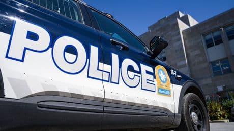 Montreal police report rise in assaults, decline in vehicle theft in 2024