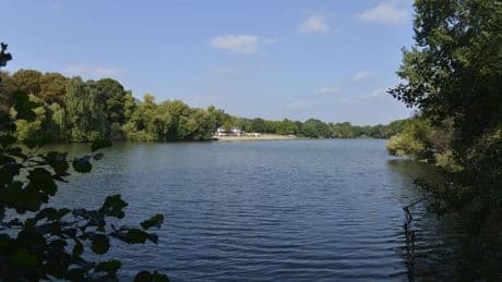 Berlin: Bußgeld für Wildbaden im Plötzensee steigt deutlich