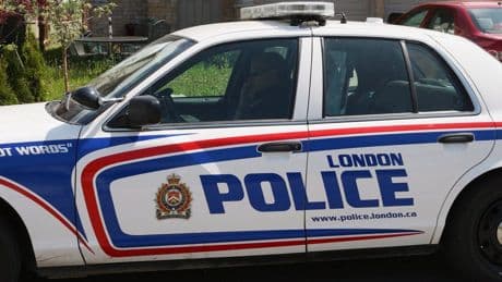 London man attacks pedestrian, steals dog: police