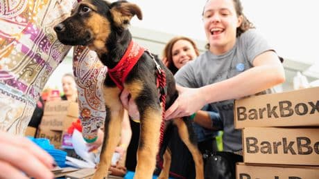 BarkBox CEO apologizes after leaked memo exposes plan to ax ‘politically charged’ Pride marketing