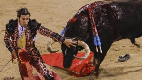 Morante de la Puebla no estará hoy en San Sebastián y su presencia en Bilbao se complica