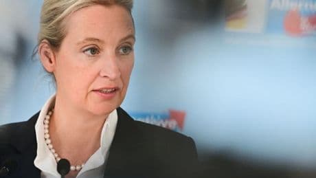 Rechtsextremer Verdachtsfall: AfD zieht vor Bundesverfassungsgericht