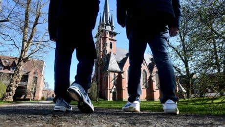 Deutlich mehr Fälle 2024