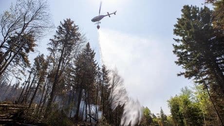 ‘Stay out of the woods’: N.S. provincial parks closing over wildfire concerns