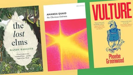 Books of the Month: What to read this July, from a dark satire on war journalism to a memoir told in verse