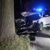 Bestuurster botst tegen boom nadat ze uitwijkt voor dier op de weg in Dendermonde