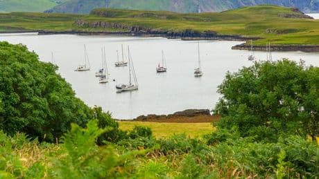 The tiny hidden gem Scottish island with 'stunning' seafood restaurant