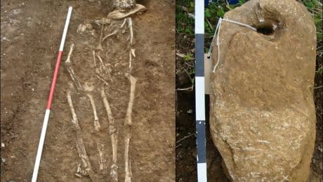 Archaeologists perplexed to find West African ancestry in early medieval England