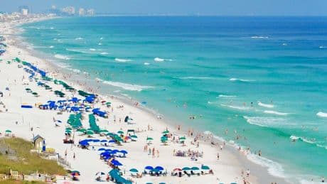 Rare, flesh-eating bacteria kills 4 in Florida. What is Vibrio vulnificus?
