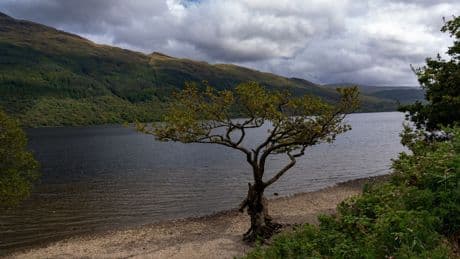 'Possible human remains' discovered at beauty spot