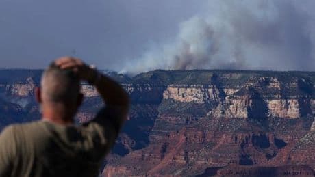 Aux Etats-Unis, le Grand Canyon ravagé par un incendie depuis plus d’un mois