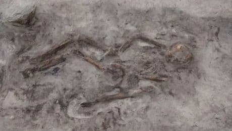 Hallan una mujer vikinga de élite enterrada con su perro en un barco ceremonial de 1 .100 años