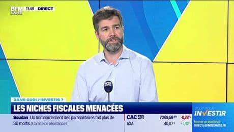 Dans quoi j'investis ? : Les niches fiscales menacées - 22/04