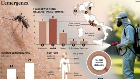 West Nile, 28 casi nel Lazio: virus vicino Roma. Disinfestazioni a tappeto e trappole anti-uccelli