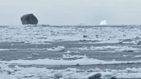 Un imponente iceberg negro rompe los esquemas en el Ártico: &quot;Es completamente diferente&quot;