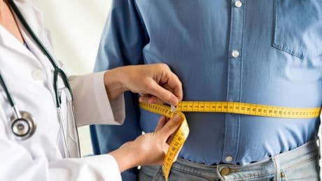 Un componente de la microbiota intestinal 'decide' cuántas calorías absorbe el organismo