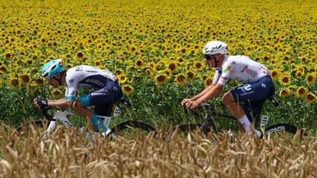 EN DIRECT | Tour de France 2025 : quatre hommes, dont les Français Lenny Martinez et Thomas Gachignard, en tête de la quatrième étape entre Amiens et Rouen