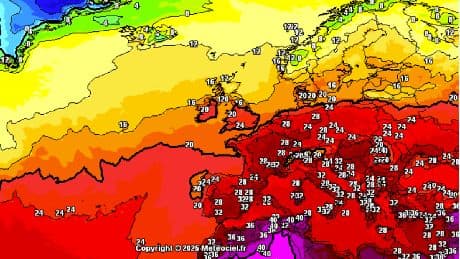 Wetter in Deutschland: Sahara-Hitze – und dann? Prognosen überraschen