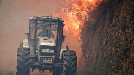Guía práctica: qué hacer si el fuego arrasa tu explotación agrícola