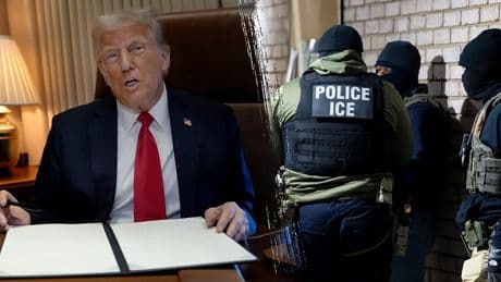Legal expert reveals why centuries-old law is crucial for Trump admin in immigration fight