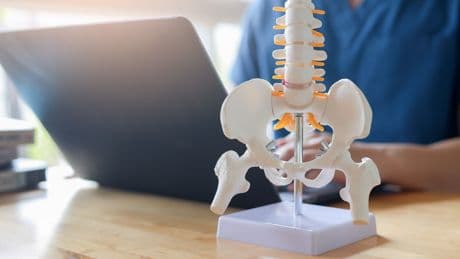 Chiropraktor oder Chiropraktiker? Die Unterschiede, die Sie kennen sollten