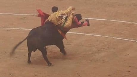 Morante de la Puebla, corneado en la plaza de toros de Pontevedra