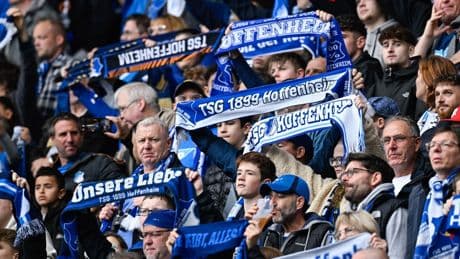 Fußball-Bundesligist: Hohe Geldstrafe für Hoffenheim