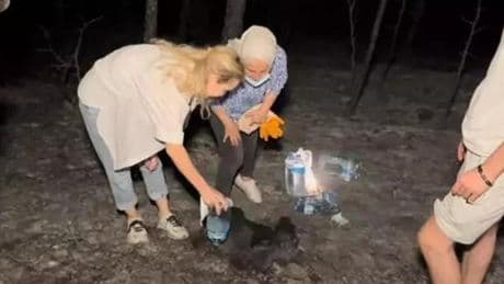 Ayşegül Yıldız, Yangın Bölgesinde İbrahim Tatlıses'in Eski Eşi Alevlerle Mücadelede Görev Aldı