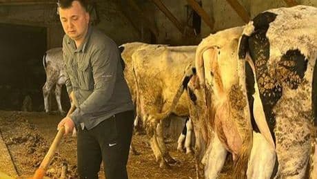 Devlet desteğiyle gelen başarı: 5 büyükbaş hayvanı 86'ya çıkardı