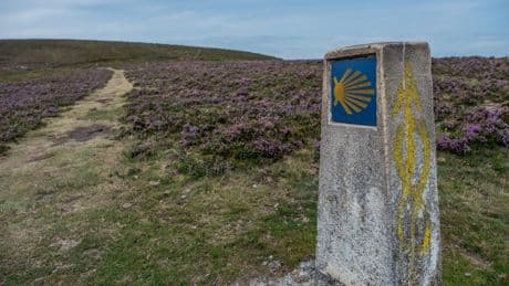 El consejo de una influencer sobre lo que no debes hacer en el Camino de Santiago: &quot;Puede ser terrorífico&quot;
