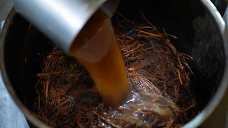 Tourist dies after drinking hallucinogenic tea on Amazon rainforest retreat