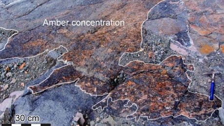 Cretaceous Amber Deposits Reveal Large-Scale Tsunamis