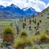 Bus stort 50 meter diep in Andes: zeker 18 doden in Peru
