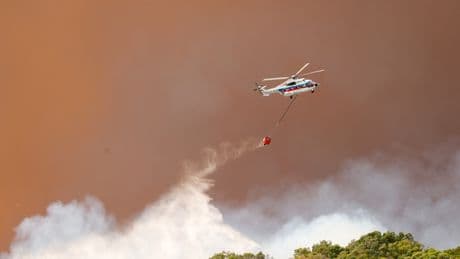 Continúan los trabajos para controlar el incendio forestal de Tarifa (Cádiz) con miles de personas desalojadas