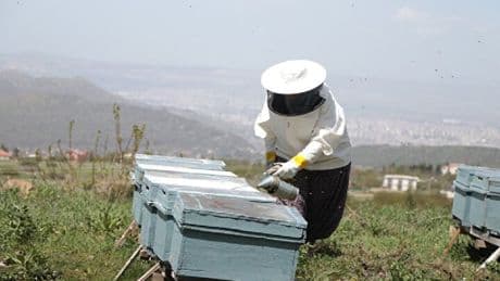 Kanser oldu ama hayata sarıldı! Çocuklarımın geleceği dedi, doğal yaşamı seçti! “Okumak şart değil”