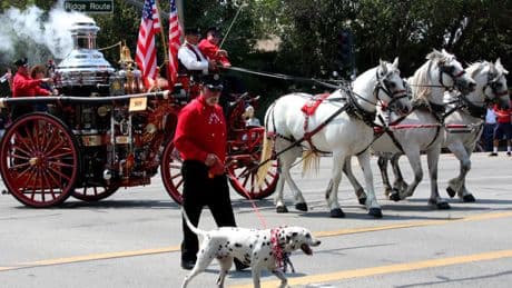 Día Internacional de los Bomberos: caballos y dálmatas, una alianza forjada en las llamas