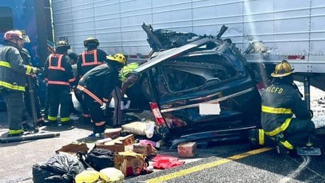 ICE arrests brother of illegal immigrant trucker in deadly Florida Turnpike wreck