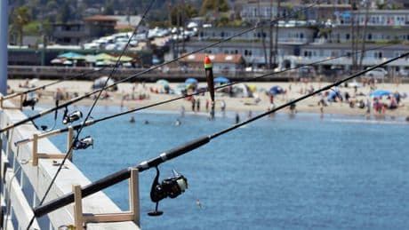 Revenues jump at Angling Direct after strong online sales