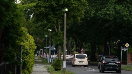 Licht brennt rund um die Uhr - Ameisen knipsen 80 Straßenlaternen an