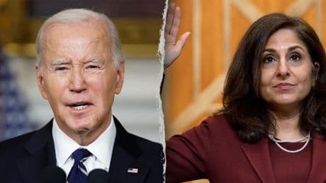 'Presidential incapacity': Senate Republican seeks paper trail of Biden's autopen use