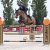 Équitation. François-Xavier Boudant s’adjuge le CSI** du Haras de la Vallée