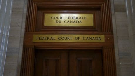 Wife's ADHD cited by Federal Court in reasons for delaying deportation of man from India