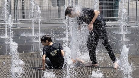 From tree cover to green roofs, how are cities fighting extreme heat?