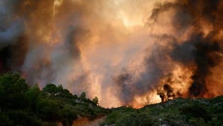 Frankreich: Waldbrand im Süden des Landes – die Bilder