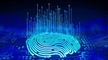 How Better Data Can Reduce Fraud For Financial Service Providers