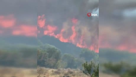 Aliağa’da otluk ve makilik alanda korkutan yangın