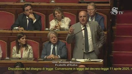 Berrino (FdI): "Le donne che fanno figli per rubare, non sono degne di farlo". Bufera in Senato, poi la precisazione | Video
