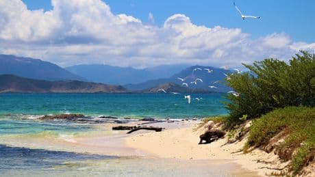 La Nouvelle-Calédonie pionnière dans la protection des fonds marins